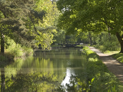 The Basingstoke canal,Pirbright,Surrey.